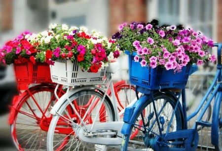 Старый велосипед...Выбросить или оставить?