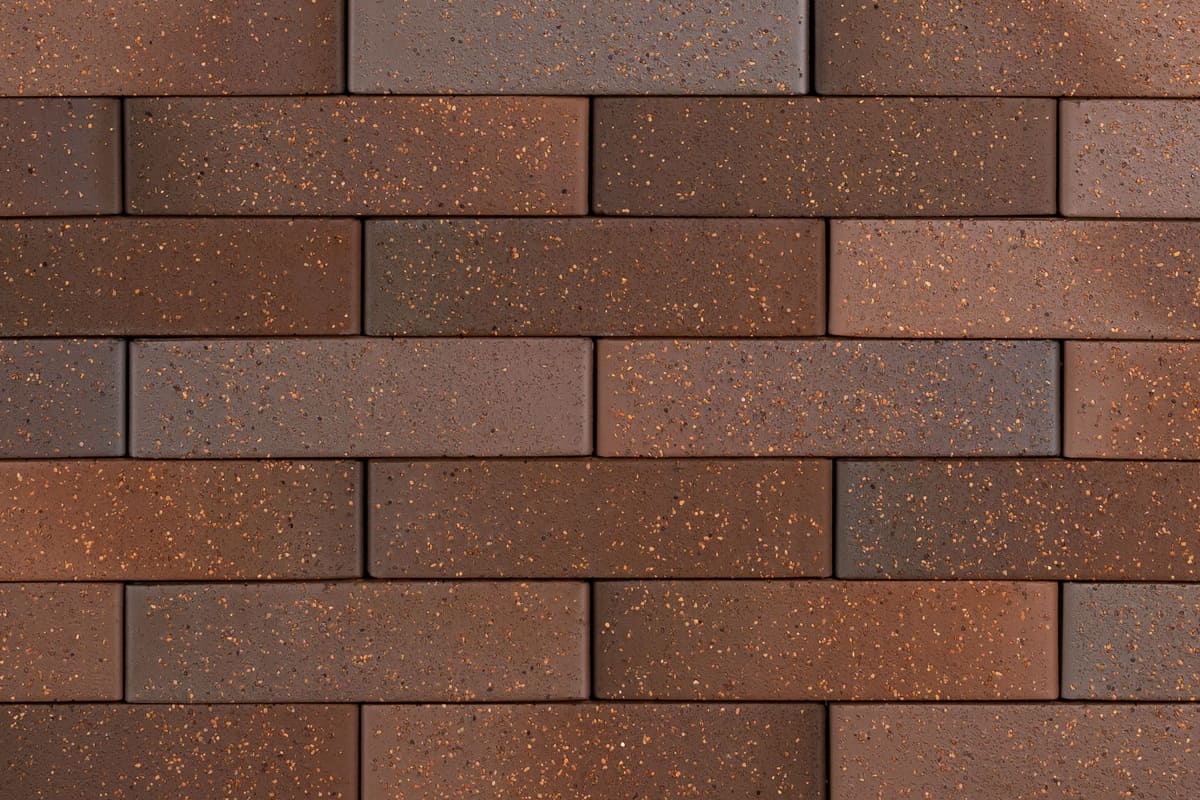 Тайга борус 1НФ